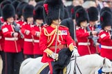 Trooping the Colour 2016.
Horse Guards Parade, Westminster,
London SW1A,
London,
United Kingdom,
on 11 June 2016 at 11:45, image #697