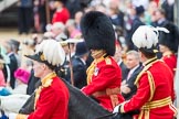 Trooping the Colour 2016.
Horse Guards Parade, Westminster,
London SW1A,
London,
United Kingdom,
on 11 June 2016 at 11:47, image #705