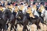 Trooping the Colour 2016.
Horse Guards Parade, Westminster,
London SW1A,
London,
United Kingdom,
on 11 June 2016 at 11:54, image #738
