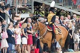 Trooping the Colour 2016.
Horse Guards Parade, Westminster,
London SW1A,
London,
United Kingdom,
on 11 June 2016 at 11:54, image #739