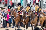 Trooping the Colour 2016.
Horse Guards Parade, Westminster,
London SW1A,
London,
United Kingdom,
on 11 June 2016 at 11:54, image #741