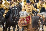 Trooping the Colour 2016.
Horse Guards Parade, Westminster,
London SW1A,
London,
United Kingdom,
on 11 June 2016 at 11:55, image #749