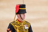 Trooping the Colour 2016.
Horse Guards Parade, Westminster,
London SW1A,
London,
United Kingdom,
on 11 June 2016 at 11:55, image #752