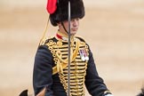 Trooping the Colour 2016.
Horse Guards Parade, Westminster,
London SW1A,
London,
United Kingdom,
on 11 June 2016 at 11:55, image #753