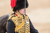 Trooping the Colour 2016.
Horse Guards Parade, Westminster,
London SW1A,
London,
United Kingdom,
on 11 June 2016 at 11:55, image #754