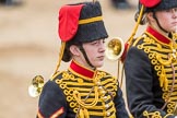 Trooping the Colour 2016.
Horse Guards Parade, Westminster,
London SW1A,
London,
United Kingdom,
on 11 June 2016 at 11:56, image #755