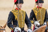 Trooping the Colour 2016.
Horse Guards Parade, Westminster,
London SW1A,
London,
United Kingdom,
on 11 June 2016 at 11:56, image #757