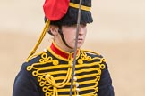 Trooping the Colour 2016.
Horse Guards Parade, Westminster,
London SW1A,
London,
United Kingdom,
on 11 June 2016 at 11:56, image #759