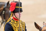 Trooping the Colour 2016.
Horse Guards Parade, Westminster,
London SW1A,
London,
United Kingdom,
on 11 June 2016 at 11:56, image #760