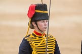 Trooping the Colour 2016.
Horse Guards Parade, Westminster,
London SW1A,
London,
United Kingdom,
on 11 June 2016 at 11:56, image #765