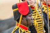 Trooping the Colour 2016.
Horse Guards Parade, Westminster,
London SW1A,
London,
United Kingdom,
on 11 June 2016 at 11:56, image #766