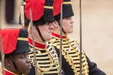 Trooping the Colour 2016.
Horse Guards Parade, Westminster,
London SW1A,
London,
United Kingdom,
on 11 June 2016 at 11:56, image #767