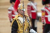 Trooping the Colour 2016.
Horse Guards Parade, Westminster,
London SW1A,
London,
United Kingdom,
on 11 June 2016 at 11:56, image #768