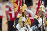 Trooping the Colour 2016.
Horse Guards Parade, Westminster,
London SW1A,
London,
United Kingdom,
on 11 June 2016 at 11:56, image #772
