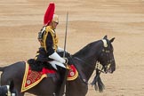 Trooping the Colour 2016.
Horse Guards Parade, Westminster,
London SW1A,
London,
United Kingdom,
on 11 June 2016 at 12:01, image #821