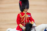 Trooping the Colour 2016.
Horse Guards Parade, Westminster,
London SW1A,
London,
United Kingdom,
on 11 June 2016 at 12:10, image #857