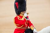 Trooping the Colour 2016.
Horse Guards Parade, Westminster,
London SW1A,
London,
United Kingdom,
on 11 June 2016 at 12:10, image #859