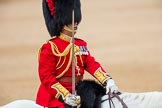 Trooping the Colour 2016.
Horse Guards Parade, Westminster,
London SW1A,
London,
United Kingdom,
on 11 June 2016 at 12:10, image #860