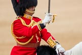 Trooping the Colour 2016.
Horse Guards Parade, Westminster,
London SW1A,
London,
United Kingdom,
on 11 June 2016 at 12:10, image #861