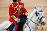 Trooping the Colour 2016.
Horse Guards Parade, Westminster,
London SW1A,
London,
United Kingdom,
on 11 June 2016 at 12:11, image #862