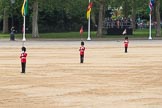 Trooping the Colour 2016.
Horse Guards Parade, Westminster,
London SW1A,
London,
United Kingdom,
on 11 June 2016 at 12:16, image #912