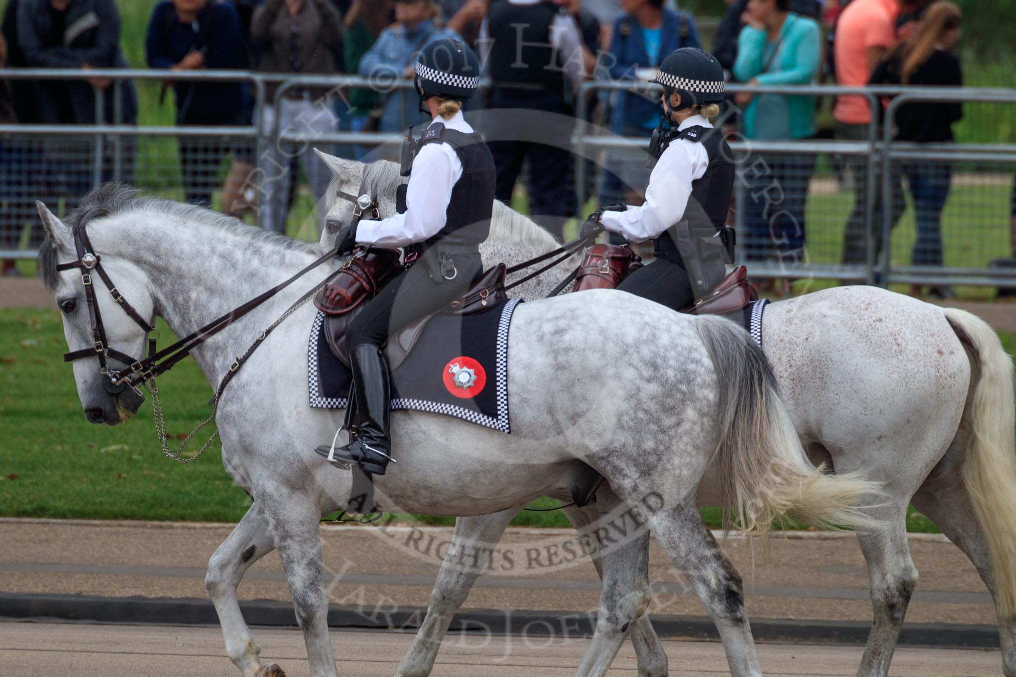 during The Colonel's Review {iptcyear4} (final rehearsal for Trooping the Colour, The Queen's Birthday Parade)  at Horse Guards Parade, Westminster, London, 2 June 2018, 10:01.