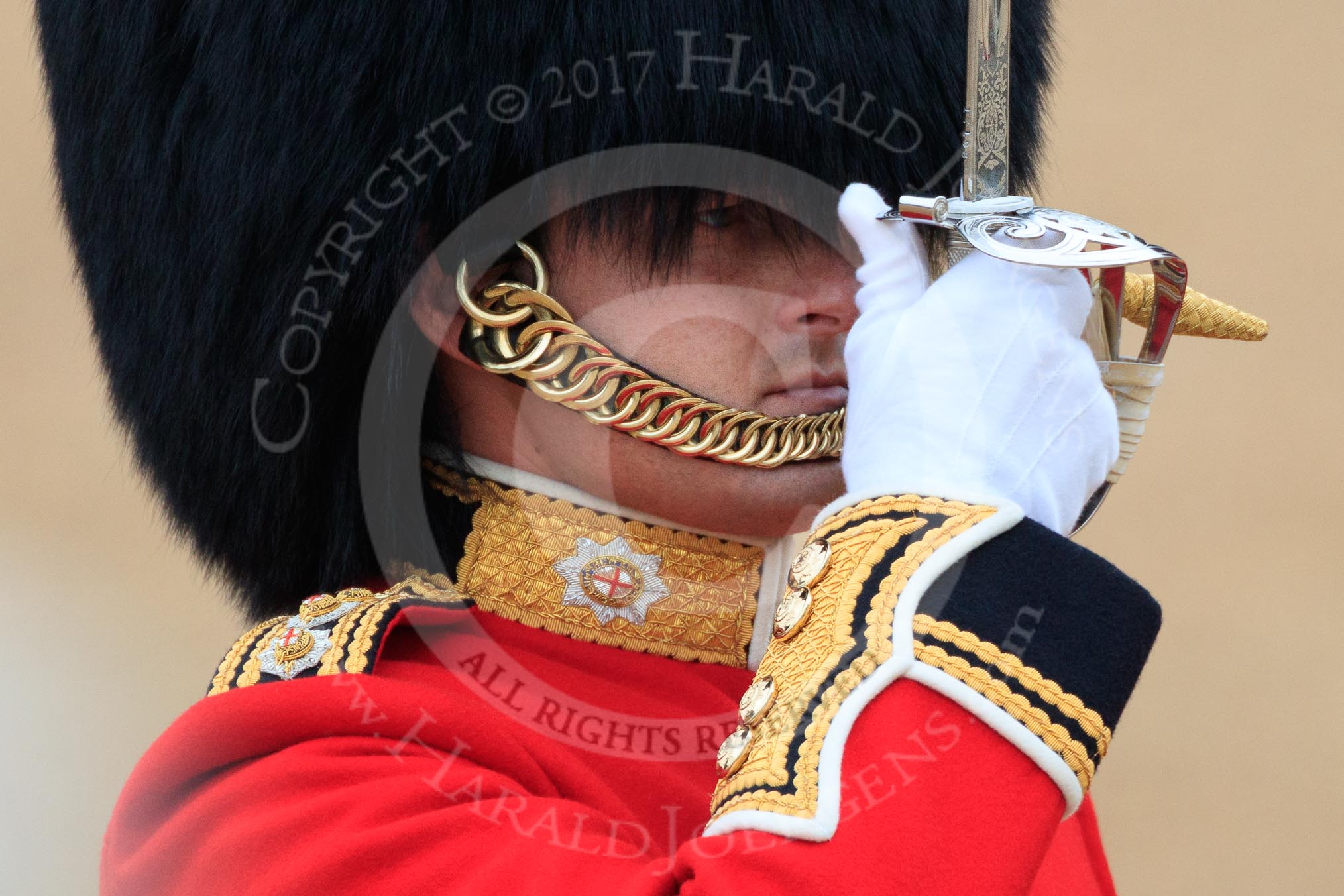 during The Colonel's Review {iptcyear4} (final rehearsal for Trooping the Colour, The Queen's Birthday Parade)  at Horse Guards Parade, Westminster, London, 2 June 2018, 10:33.