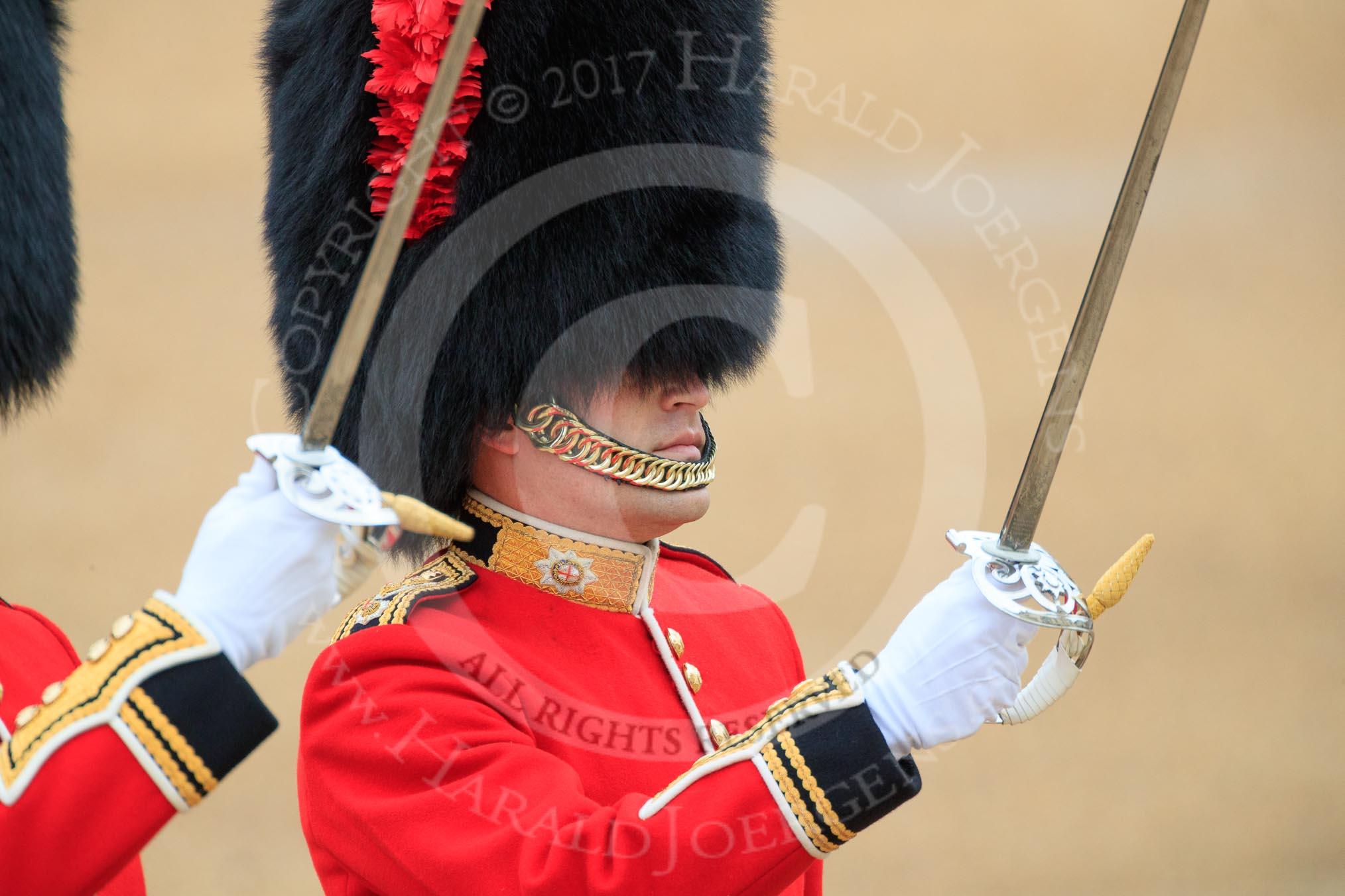 during The Colonel's Review {iptcyear4} (final rehearsal for Trooping the Colour, The Queen's Birthday Parade)  at Horse Guards Parade, Westminster, London, 2 June 2018, 10:33.