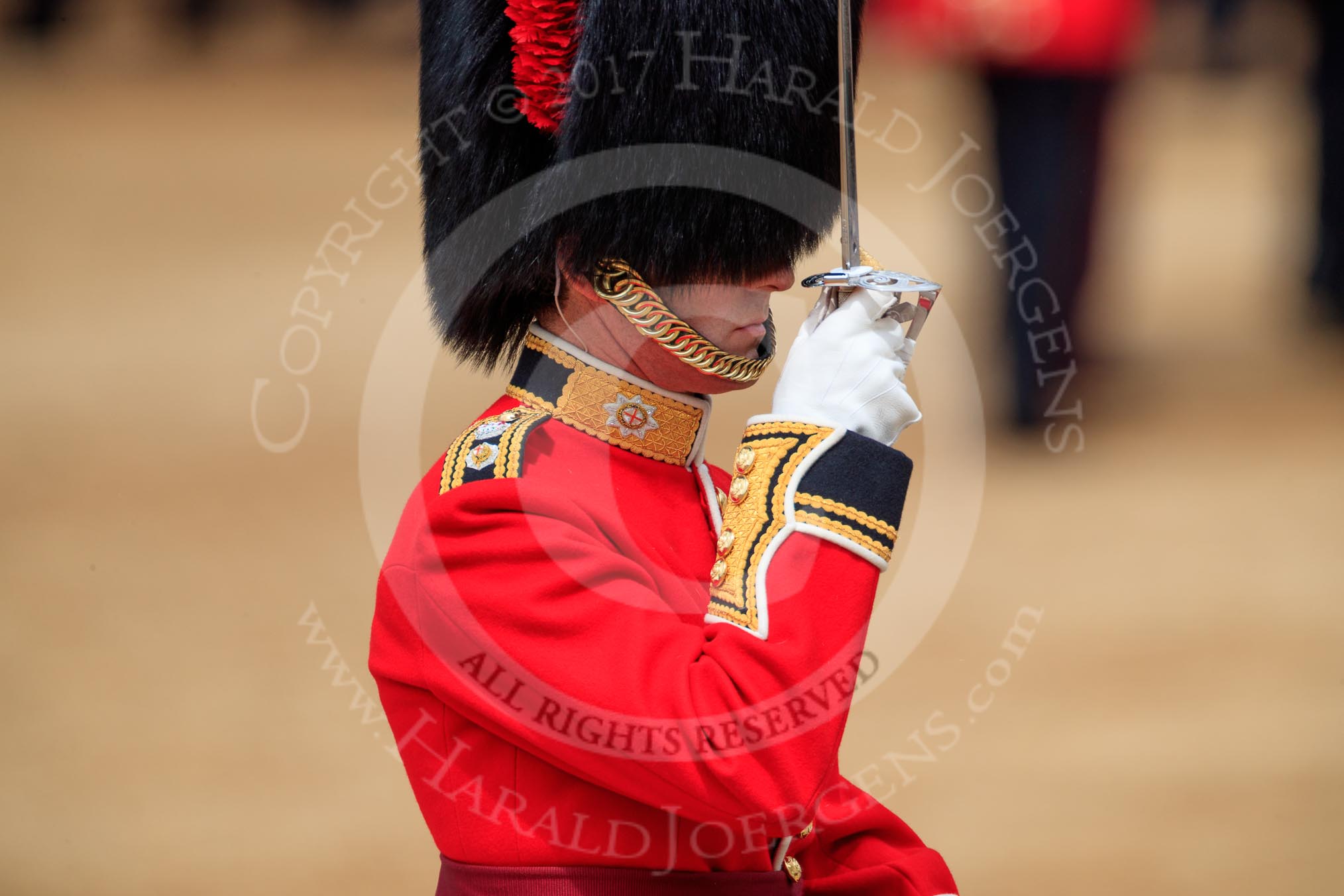 during The Colonel's Review {iptcyear4} (final rehearsal for Trooping the Colour, The Queen's Birthday Parade)  at Horse Guards Parade, Westminster, London, 2 June 2018, 11:49.