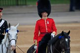 during The Colonel's Review {iptcyear4} (final rehearsal for Trooping the Colour, The Queen's Birthday Parade)  at Horse Guards Parade, Westminster, London, 2 June 2018, 10:05.