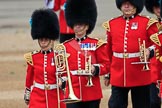 Photo #130 (1806021029475SR6447HaraldJoergens) during The Colonel's Review {iptcyear4} (final rehearsal for Trooping the Colour, The Queen's Birthday Parade)  at Horse Guards Parade, Westminster, London, 2 June 2018, 10:29.