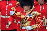 Photo #132 (1806021029505SR6451HaraldJoergens) during The Colonel's Review {iptcyear4} (final rehearsal for Trooping the Colour, The Queen's Birthday Parade)  at Horse Guards Parade, Westminster, London, 2 June 2018, 10:29.