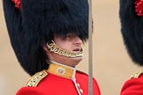 during The Colonel's Review {iptcyear4} (final rehearsal for Trooping the Colour, The Queen's Birthday Parade)  at Horse Guards Parade, Westminster, London, 2 June 2018, 10:32.