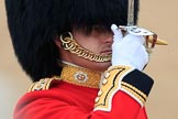 during The Colonel's Review {iptcyear4} (final rehearsal for Trooping the Colour, The Queen's Birthday Parade)  at Horse Guards Parade, Westminster, London, 2 June 2018, 10:33.