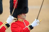 during The Colonel's Review {iptcyear4} (final rehearsal for Trooping the Colour, The Queen's Birthday Parade)  at Horse Guards Parade, Westminster, London, 2 June 2018, 10:33.