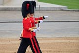 during The Colonel's Review {iptcyear4} (final rehearsal for Trooping the Colour, The Queen's Birthday Parade)  at Horse Guards Parade, Westminster, London, 2 June 2018, 10:34.
