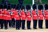 during The Colonel's Review {iptcyear4} (final rehearsal for Trooping the Colour, The Queen's Birthday Parade)  at Horse Guards Parade, Westminster, London, 2 June 2018, 10:37.