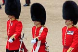 during The Colonel's Review {iptcyear4} (final rehearsal for Trooping the Colour, The Queen's Birthday Parade)  at Horse Guards Parade, Westminster, London, 2 June 2018, 10:38.