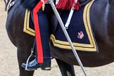 during The Colonel's Review {iptcyear4} (final rehearsal for Trooping the Colour, The Queen's Birthday Parade)  at Horse Guards Parade, Westminster, London, 2 June 2018, 10:39.