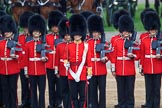 during The Colonel's Review {iptcyear4} (final rehearsal for Trooping the Colour, The Queen's Birthday Parade)  at Horse Guards Parade, Westminster, London, 2 June 2018, 10:43.