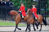 during The Colonel's Review {iptcyear4} (final rehearsal for Trooping the Colour, The Queen's Birthday Parade)  at Horse Guards Parade, Westminster, London, 2 June 2018, 10:50.