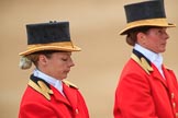 during The Colonel's Review {iptcyear4} (final rehearsal for Trooping the Colour, The Queen's Birthday Parade)  at Horse Guards Parade, Westminster, London, 2 June 2018, 10:51.