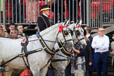 during The Colonel's Review {iptcyear4} (final rehearsal for Trooping the Colour, The Queen's Birthday Parade)  at Horse Guards Parade, Westminster, London, 2 June 2018, 10:59.