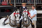 during The Colonel's Review {iptcyear4} (final rehearsal for Trooping the Colour, The Queen's Birthday Parade)  at Horse Guards Parade, Westminster, London, 2 June 2018, 10:59.