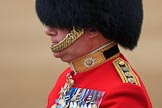 during The Colonel's Review {iptcyear4} (final rehearsal for Trooping the Colour, The Queen's Birthday Parade)  at Horse Guards Parade, Westminster, London, 2 June 2018, 11:00.