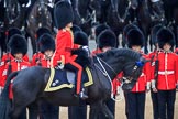 during The Colonel's Review {iptcyear4} (final rehearsal for Trooping the Colour, The Queen's Birthday Parade)  at Horse Guards Parade, Westminster, London, 2 June 2018, 11:01.