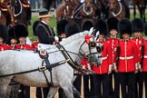 during The Colonel's Review {iptcyear4} (final rehearsal for Trooping the Colour, The Queen's Birthday Parade)  at Horse Guards Parade, Westminster, London, 2 June 2018, 11:01.