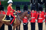 during The Colonel's Review {iptcyear4} (final rehearsal for Trooping the Colour, The Queen's Birthday Parade)  at Horse Guards Parade, Westminster, London, 2 June 2018, 11:02.