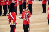 during The Colonel's Review {iptcyear4} (final rehearsal for Trooping the Colour, The Queen's Birthday Parade)  at Horse Guards Parade, Westminster, London, 2 June 2018, 11:20.