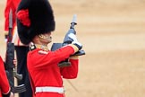 during The Colonel's Review {iptcyear4} (final rehearsal for Trooping the Colour, The Queen's Birthday Parade)  at Horse Guards Parade, Westminster, London, 2 June 2018, 11:21.
